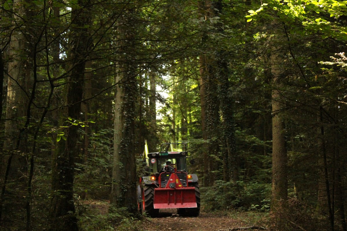 Rückefahrzeug auf dem Waldweg bei der Holzernte